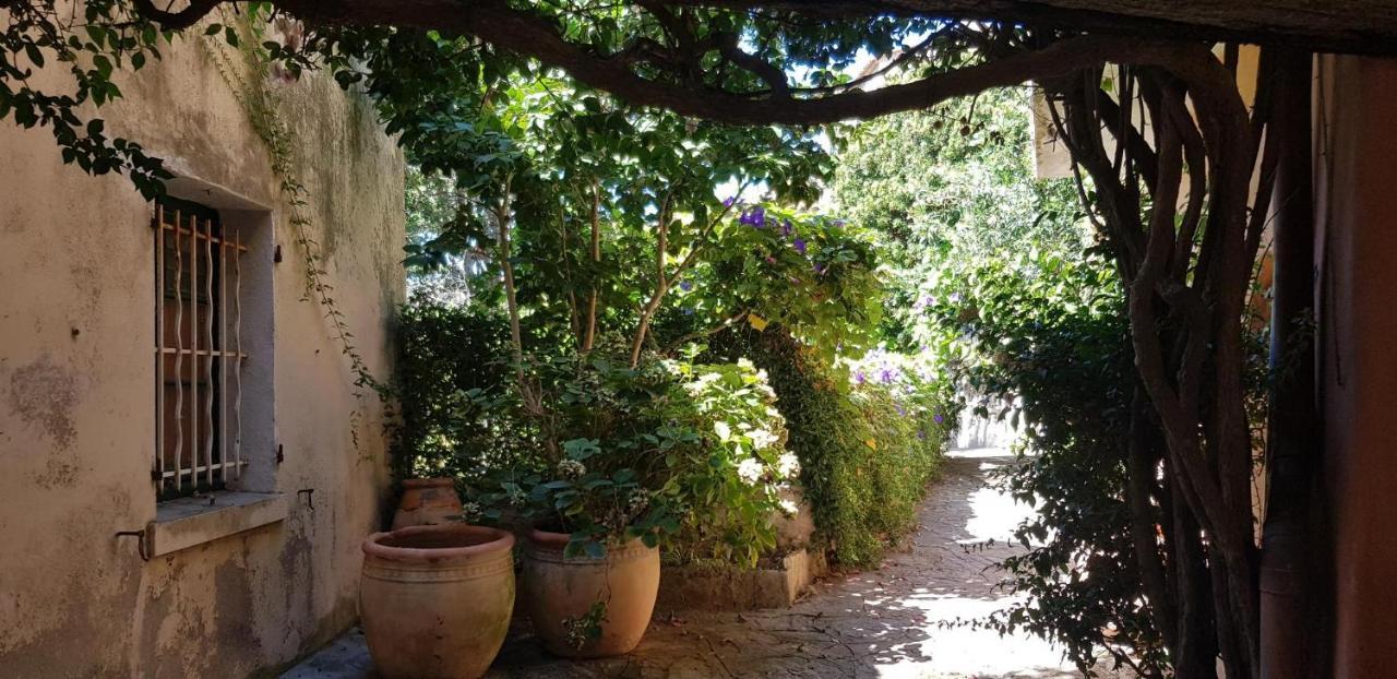 L'Odyssee Provencale, Un Duplex De Charme De 2 Chambres Au Pied Du Village Medieval De Bormes-Les-Mimosas, Offrant Des Prestations Haut De Gamme Et Une Superbe Vue Sur Le Massif Des Maures 외부 사진
